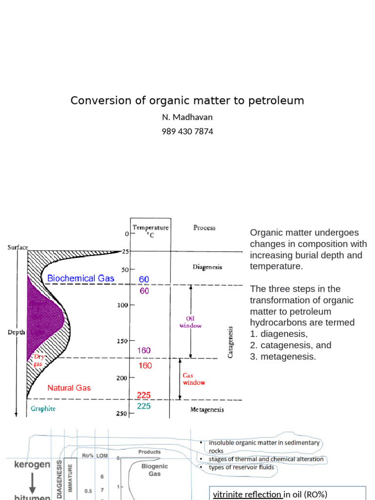 Organic Matter to Petroleum Conversion | PDF | Hydrocarbons | Chemistry