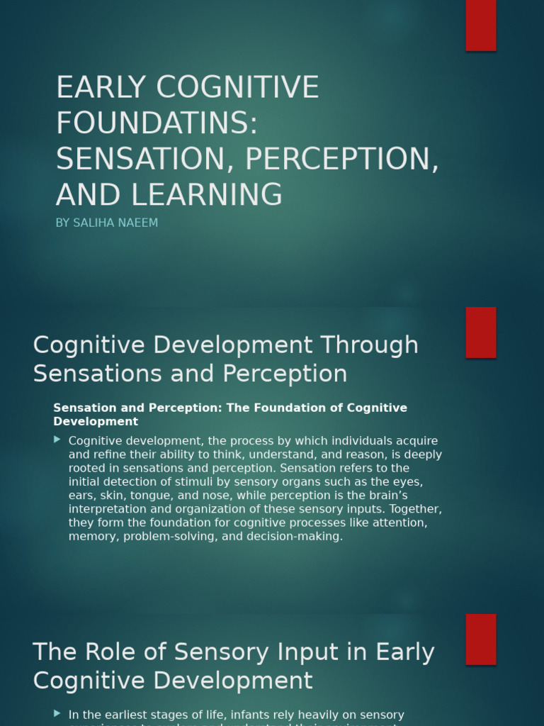 Cognitive Development: Sensation & Perception | PDF | Perception ...