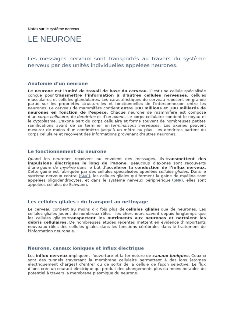 Anatomie et fonctionnement des neurones | PDF | Neurone | Système nerveux