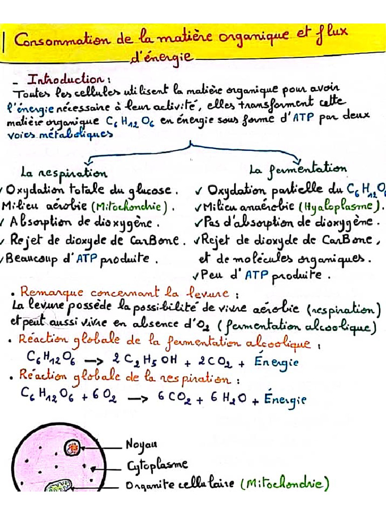 Atp Résumé | PDF