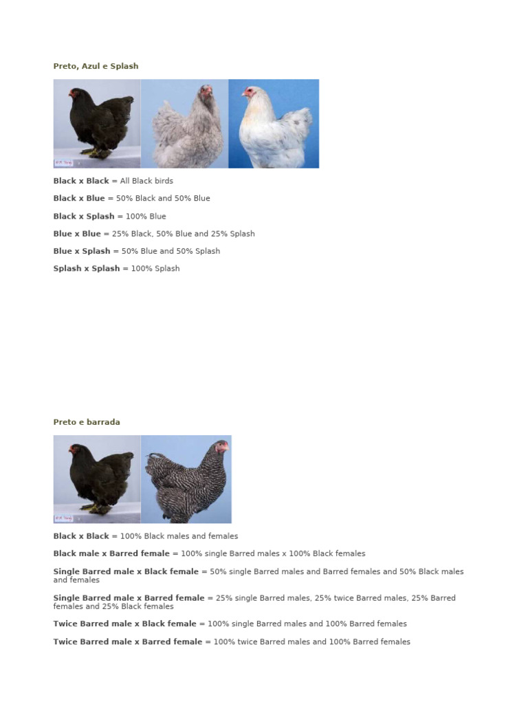 Brahma Chicken Color Genetics Guide | PDF | Junglefowls | Galliformes