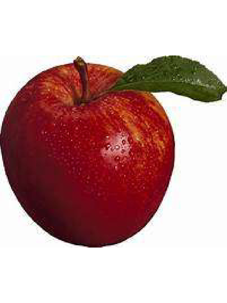 Apple | PDF