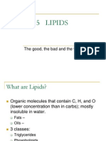 Chapter 5 Lipids