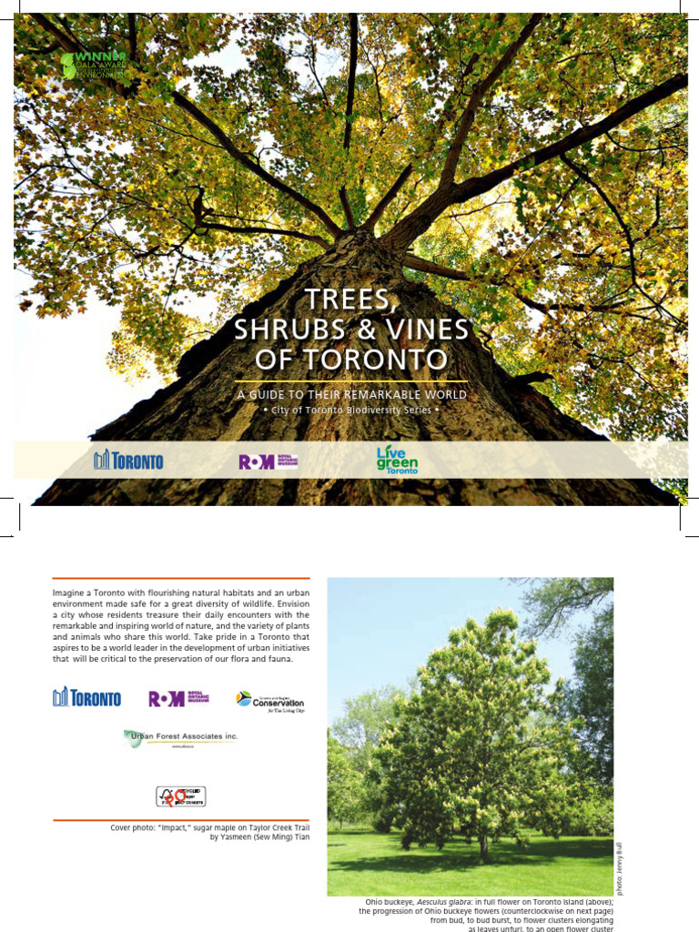 965e City Planning Trees Shrubs Vines of Toronto Biodiversity Series ...