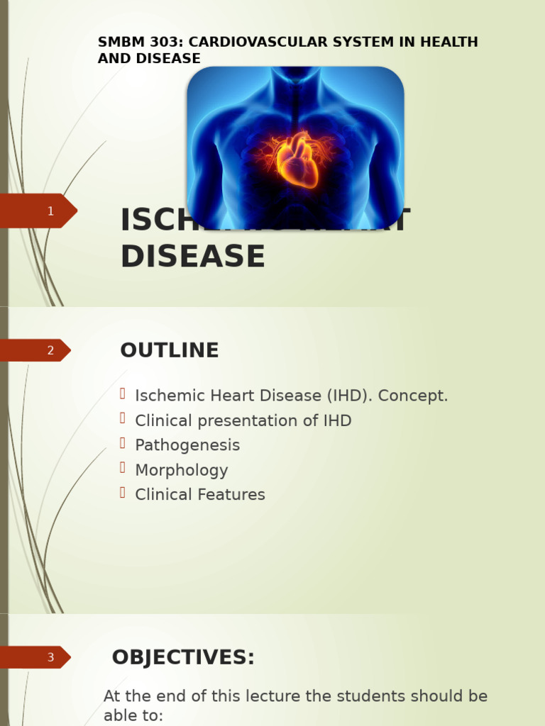 Ischemic Heart Disease Overview | PDF | Ischemia | Myocardial Infarction