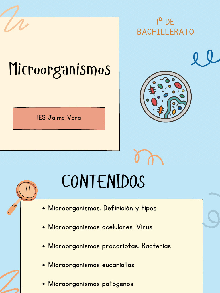 Tipos y funciones de microorganismos | PDF | Virus | Las bacterias