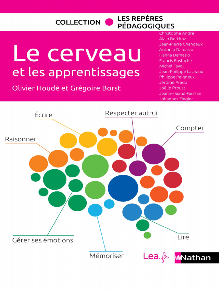 Le Cerveau Et Les Apprentissages | PDF | Synapse | Neurone
