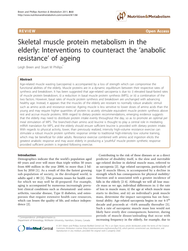 Muscle Protein Metabolism in Aging | PDF | Leucine | Skeletal Muscle
