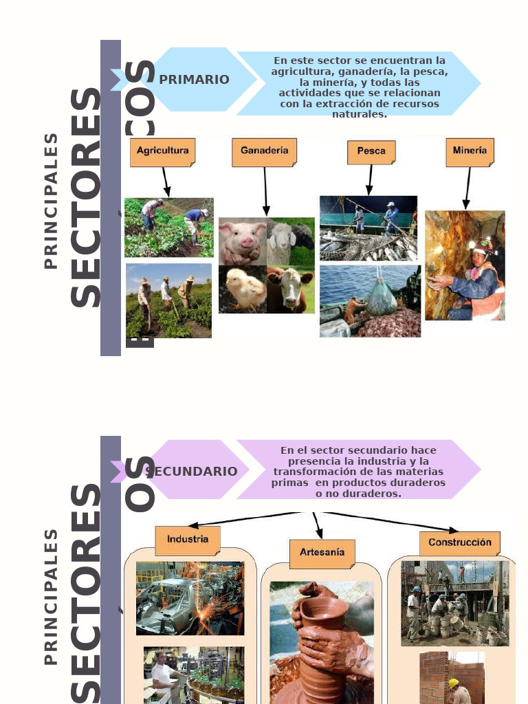 Sectores Economicos Sara | PDF