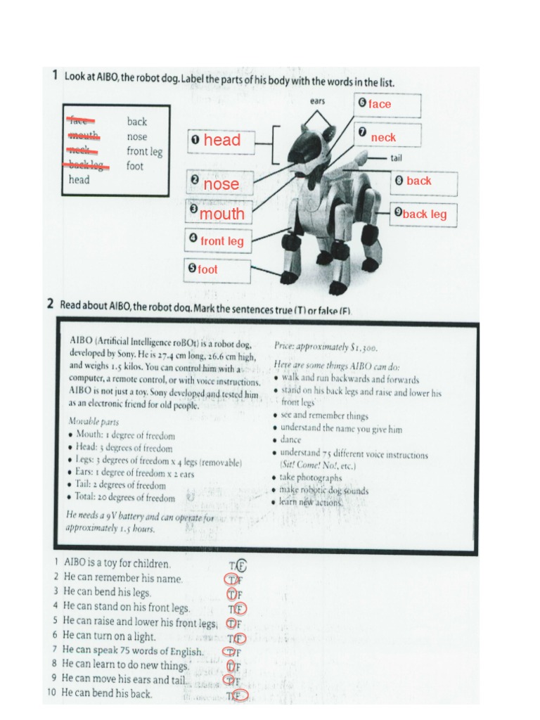 Robot Activity | PDF