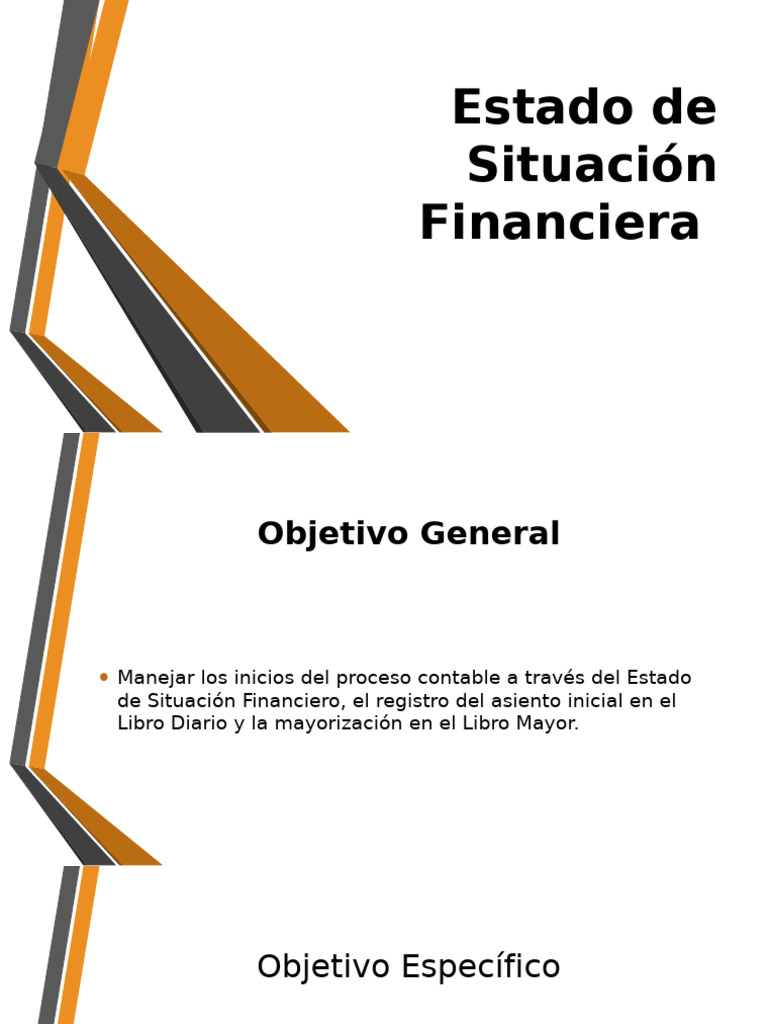Estado de Situación Financiera | PDF | Contabilidad | Business