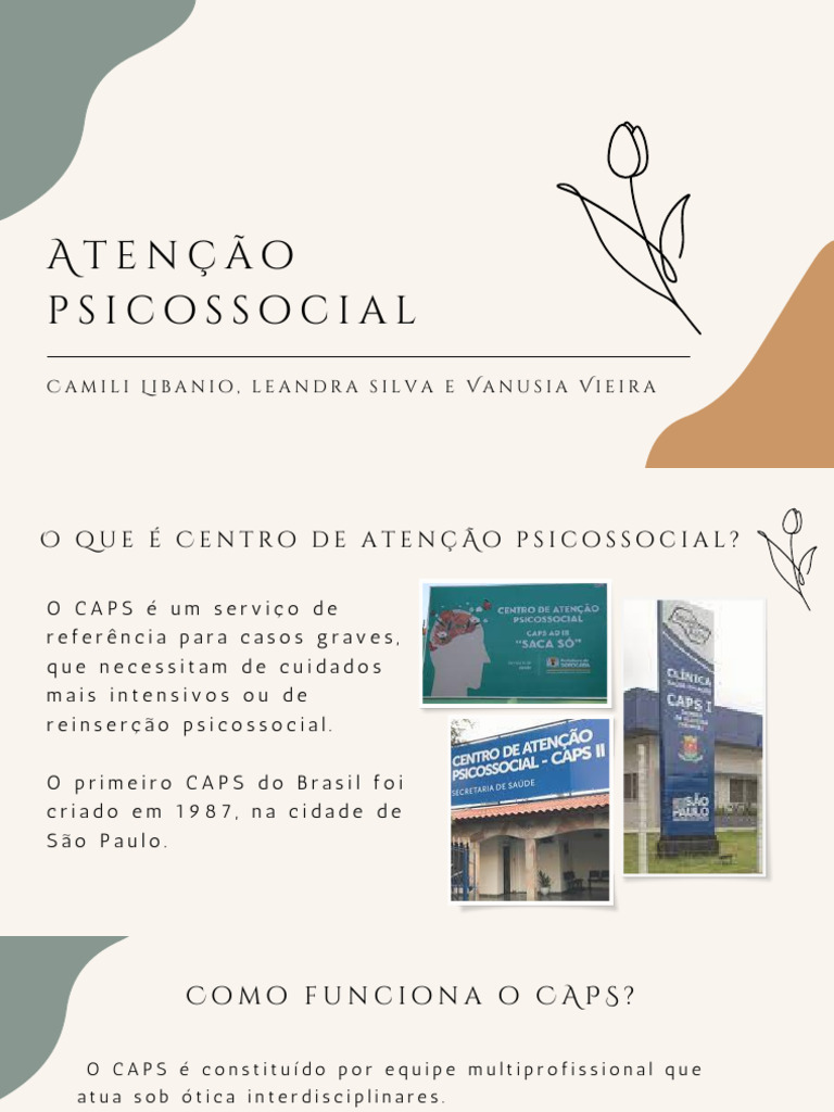 Entenda o CAPS: Atendimento Psicossocial | PDF | Psicologia | Ciências ...