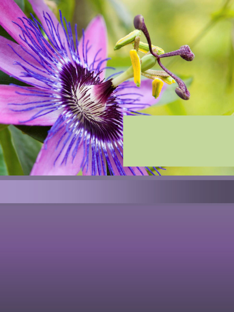 MediHerb Clinical Resources Overview | PDF | Health Care | Medicine