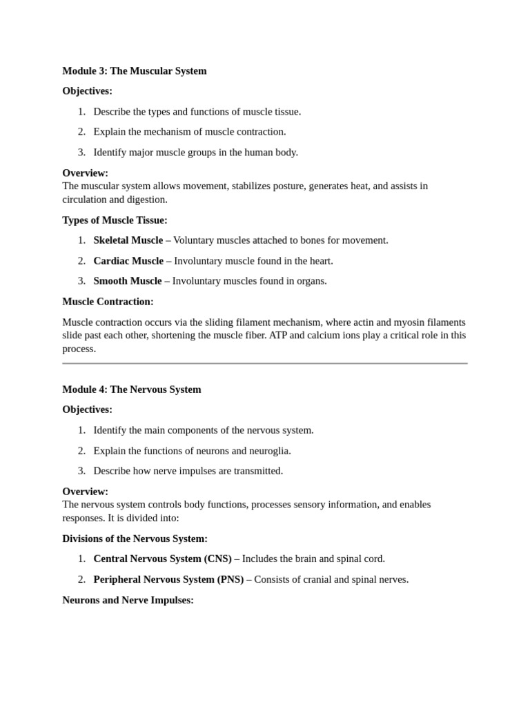 Systems in Harmony - Anatomy (Part 2) | PDF