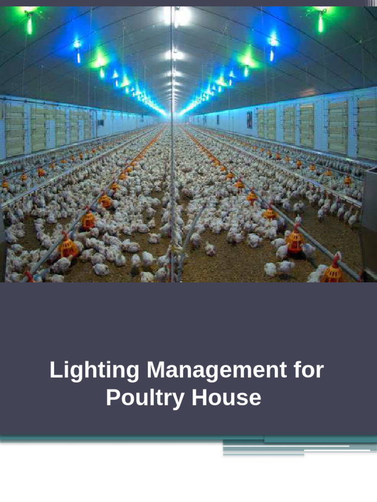 Poultry Lighting Management Guide | PDF | Lighting | Luteinizing Hormone