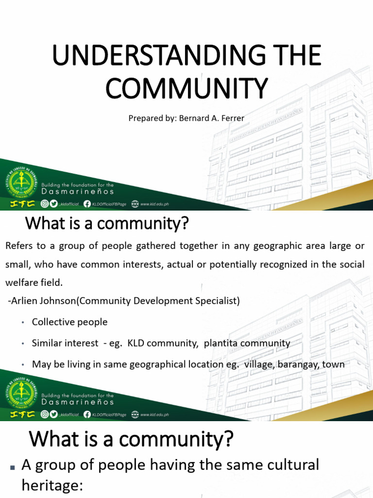 Understanding Community Dynamics and Immersion | PDF | Community | System