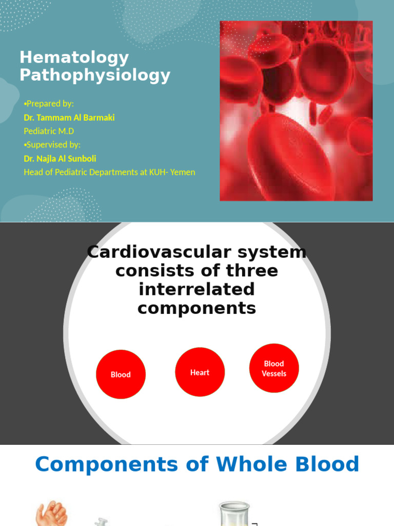 Hematology Pathophysiology | PDF | Anemia | White Blood Cell