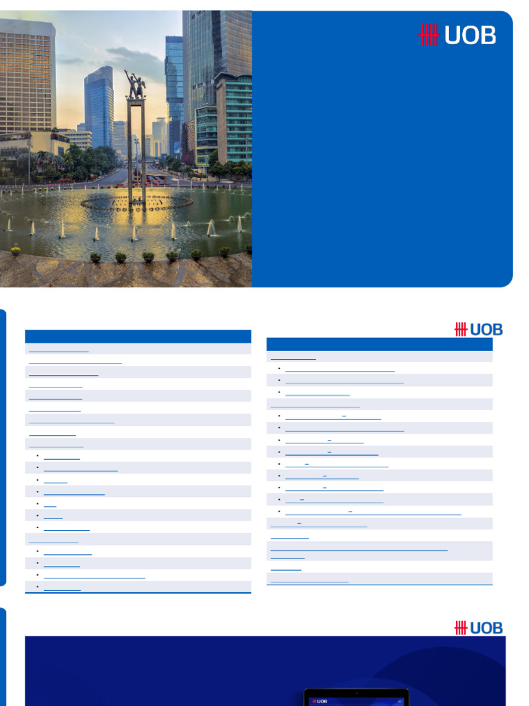 UOB Infinity User Guide and Features | PDF | Payments | Debits And Credits