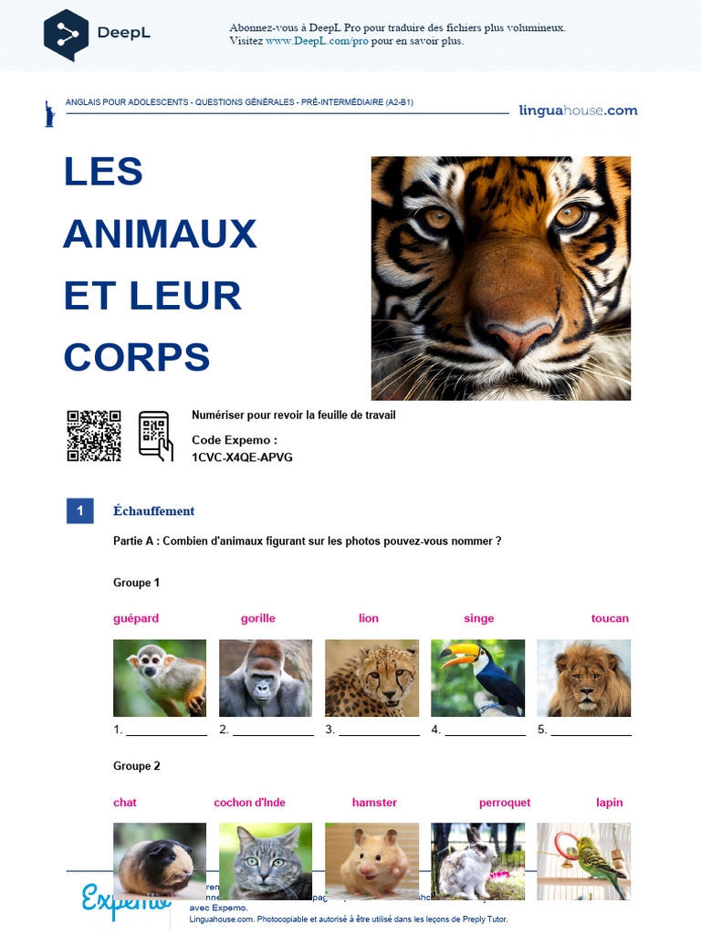 Les animaux et leur corps : leçon A2-B1 | PDF | Zoologie