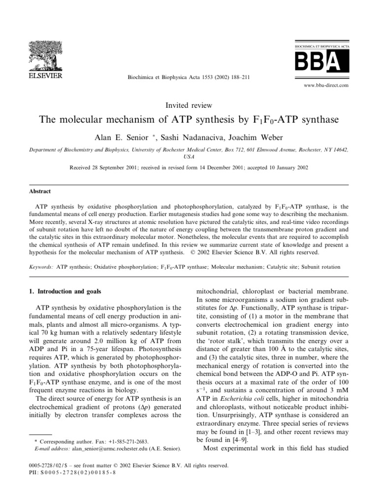 The Molecular Mechanism of ATP Synthesi - 2002 - Biochimica Et ...