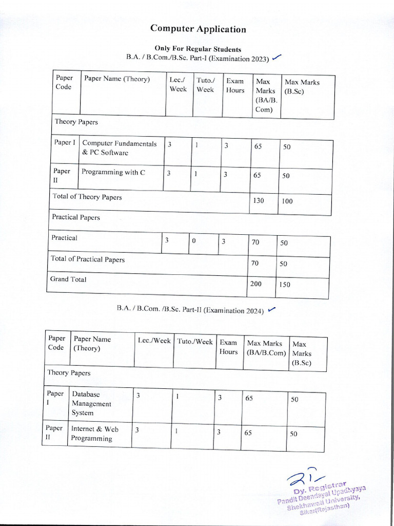 Computer Application Syllabus - 0001 | PDF