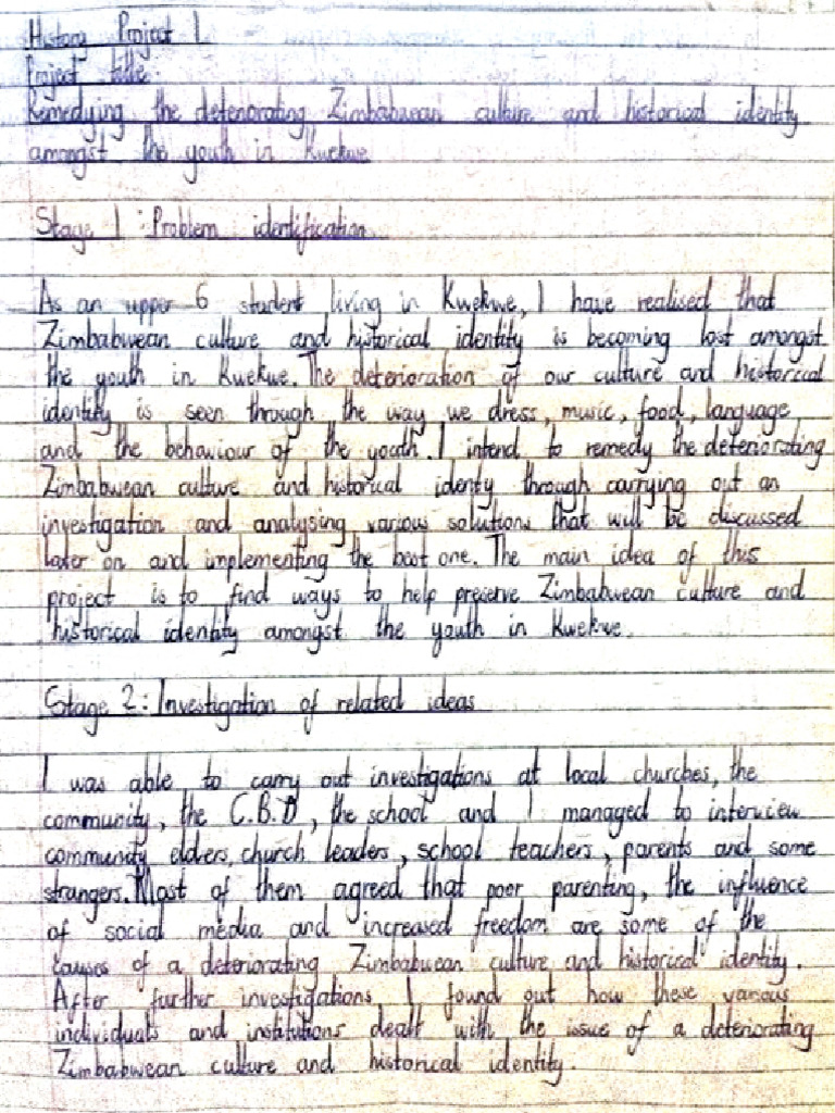 History Project - MyDoc 175541 | PDF
