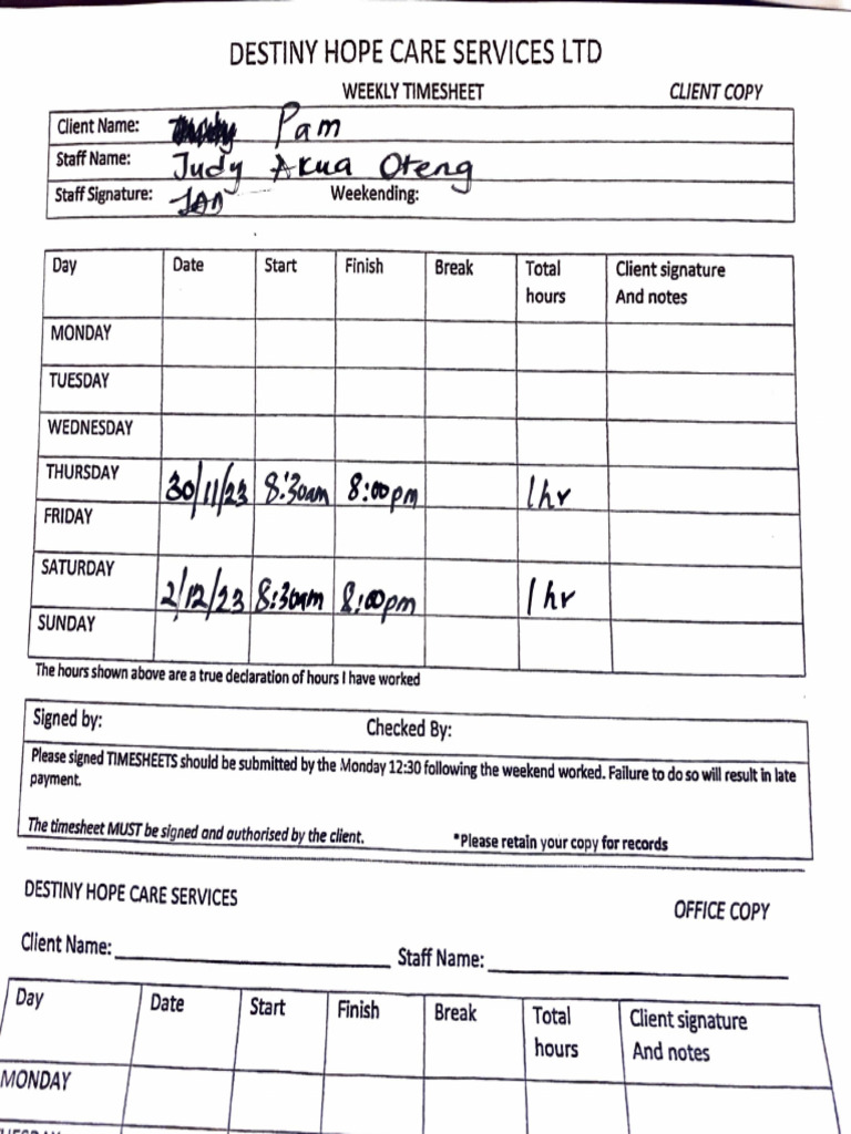 Weekly Home Health Aide Timesheet | PDF