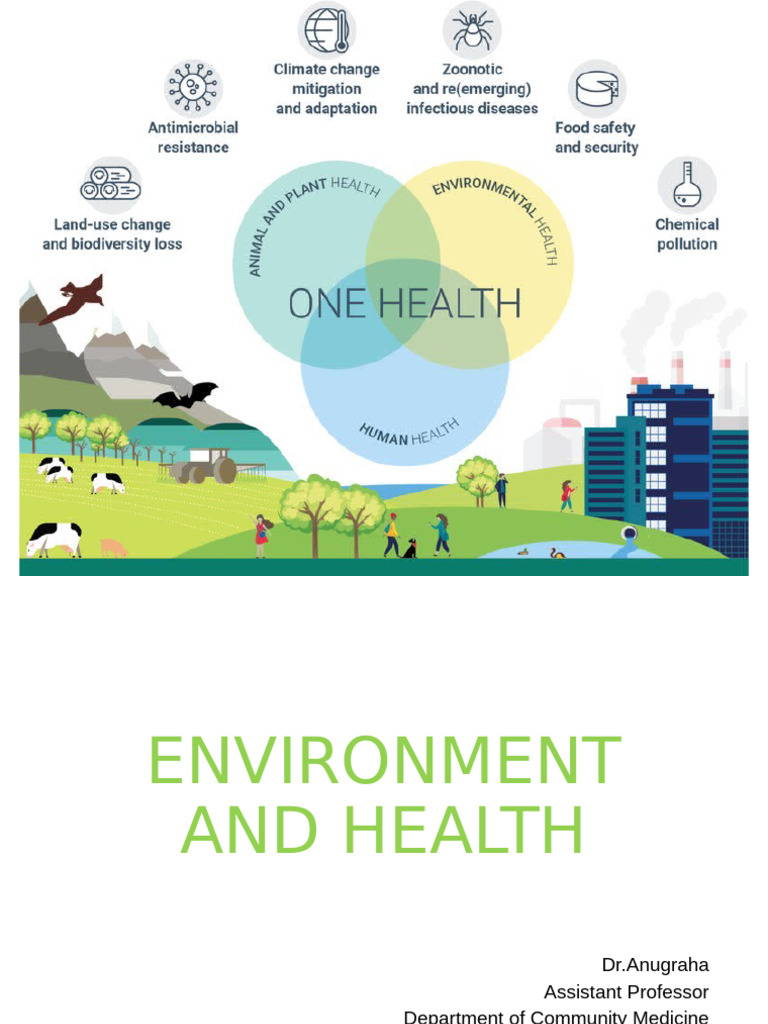 Environmental Health and Water Safety | PDF | Water Purification ...