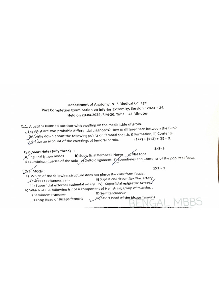 Anatomy PCT | PDF
