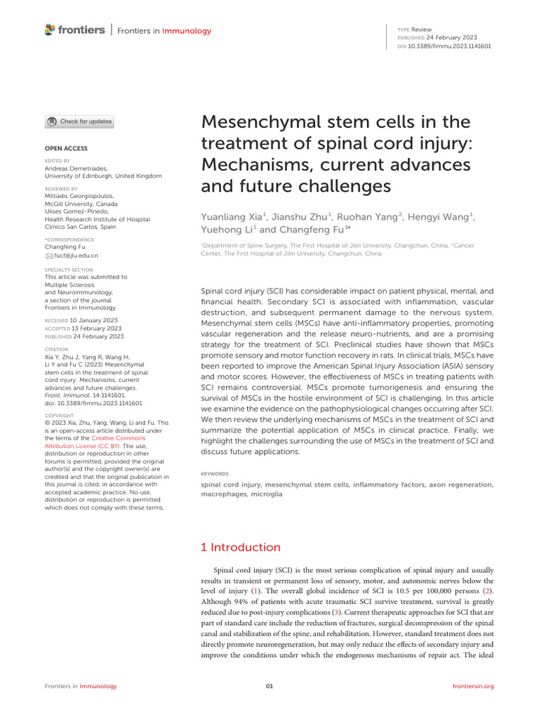 Mesenchymal Stem Cells in The Treatment of Spinal Cord Injury | PDF ...