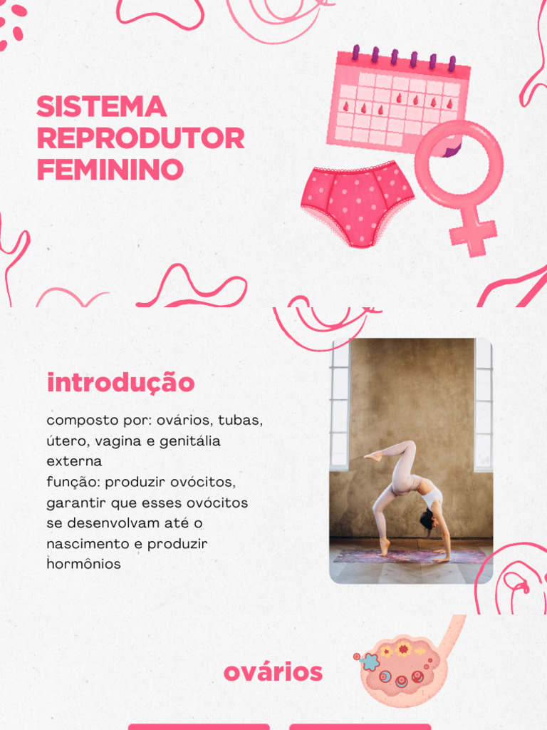 Pink Illustrated Female Health Presentation | PDF | Ovário | Reprodução ...