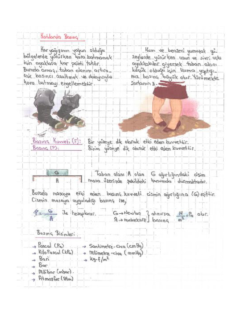 Basinã 2 | PDF