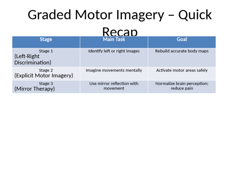 Graded Motor Imagery Overview | PDF