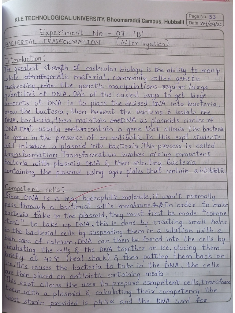 experiment 7b,8 and 9 | PDF