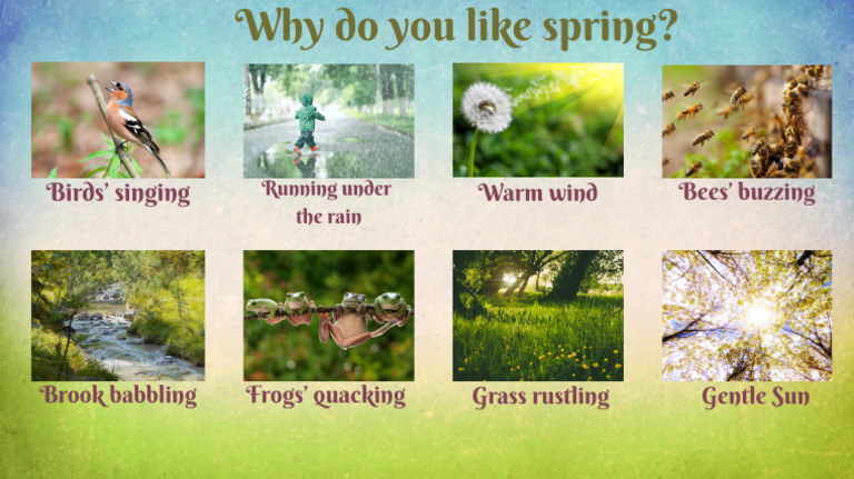 What Is Your Favourite Spring Sound | PDF