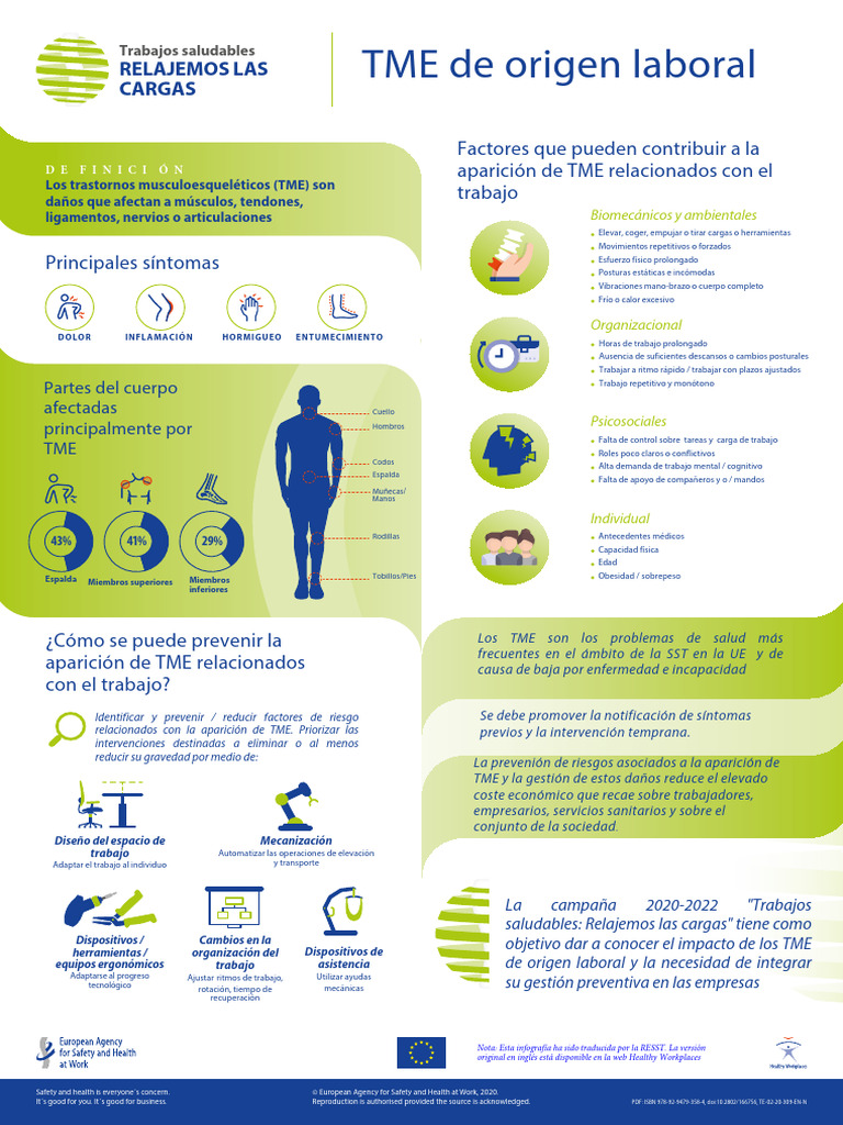 01 HWC20 Definition Work Related MSD Infographics ES | PDF | Obesidad ...