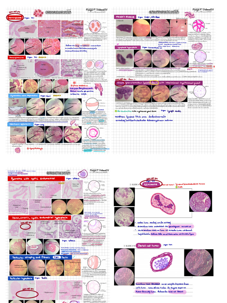 Sys. Patho Lab Histo MId PDF | PDF