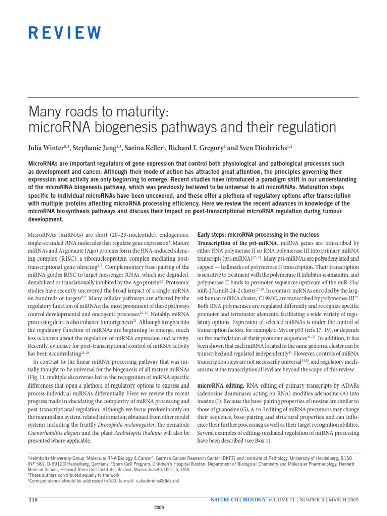 REV Many Roads To Maturity microRNA Biogenesis Pathways and Their ...