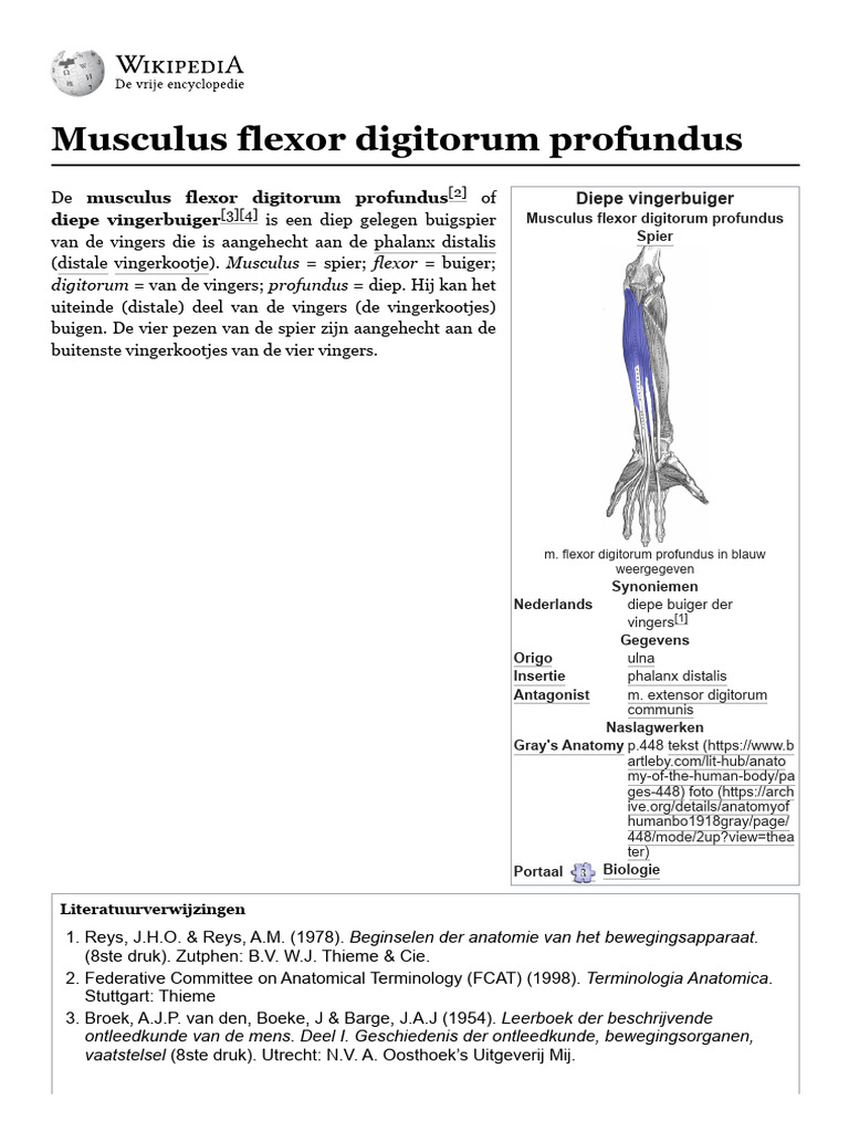 Musculus Flexor Digitorum Profundus - Wikipedia | PDF