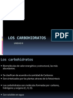 Los Carbohidratos