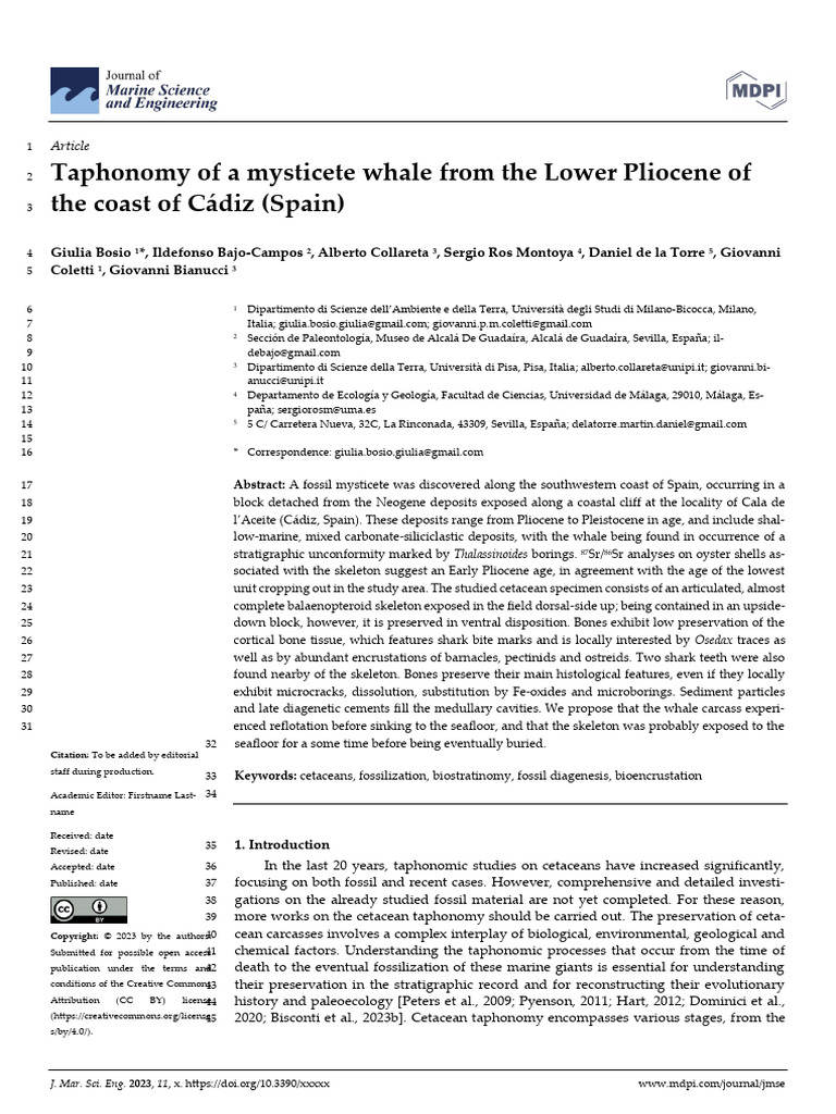 Taphonomy of Lower Pliocene Mysticete | PDF | Scanning Electron Microscope