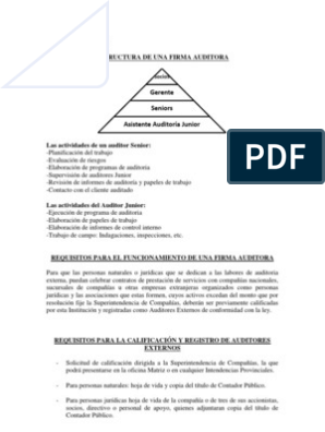 Estructura de Una Firma Auditora | PDF | Auditoría financiera | Contralor
