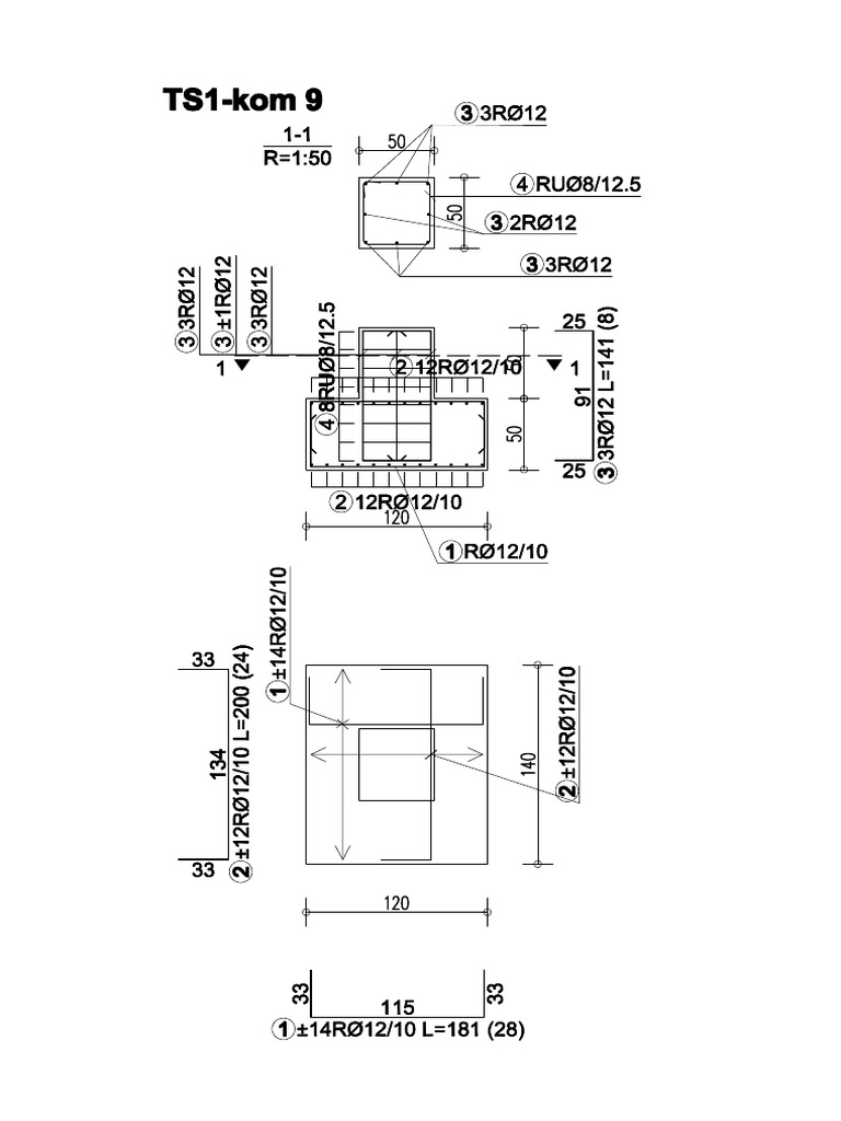 TS1 | PDF