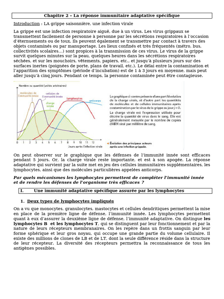 Étapes de la réponse immunitaire adaptative | PDF | Système immunitaire ...
