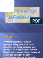 POTENSIAL MEMBRAN. Presentasi 1