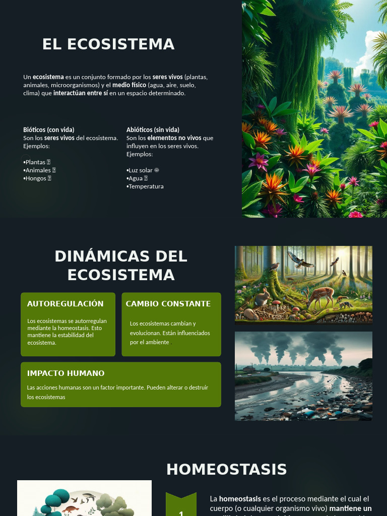 Ecosistemas: Dinámicas y Biomas | PDF | Ecosistema | Los bosques
