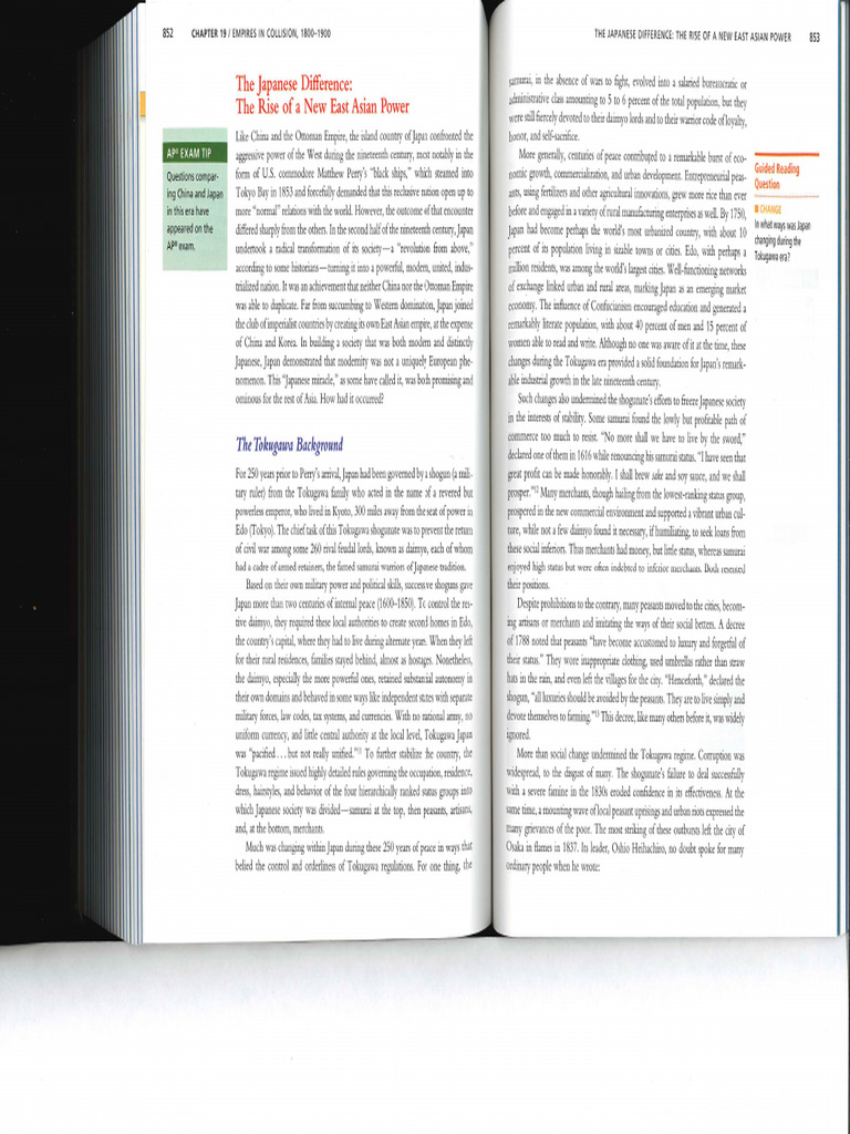 01 Japan Strayer Reading | PDF