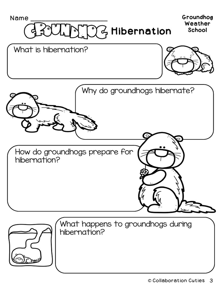 Groundhog | PDF