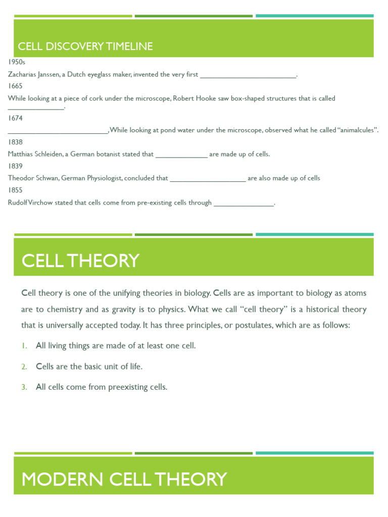 CELL STRUCTURE AND FUNCTIONS Material | PDF | Endoplasmic Reticulum ...