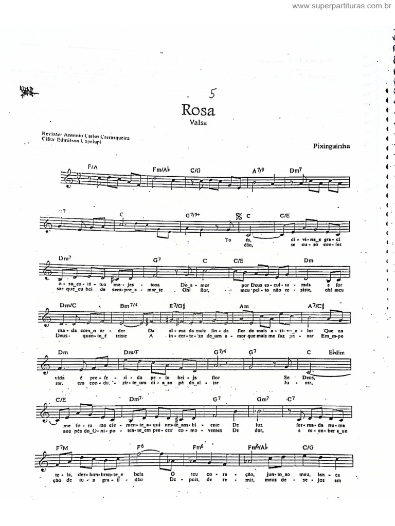 Rosa | PDF